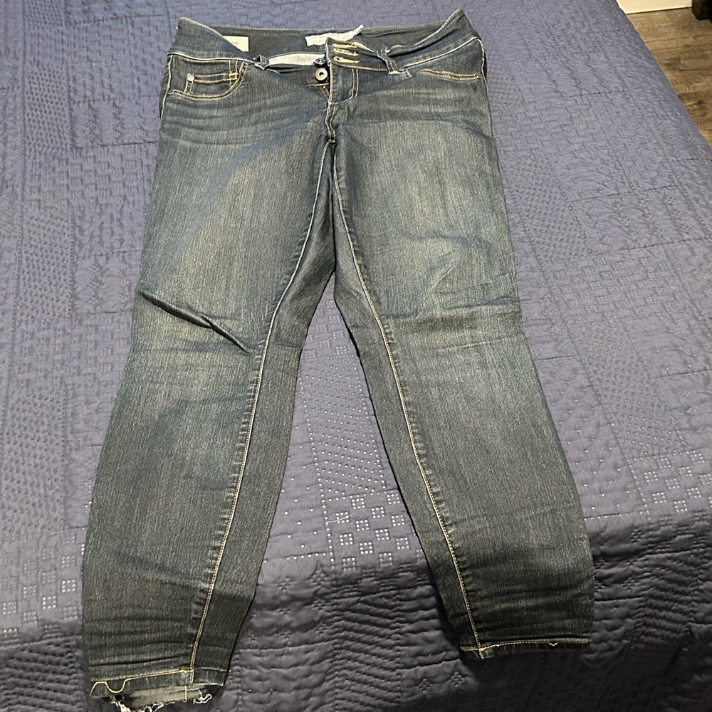 Torrid jeggings